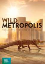 Watch Wild Metropolis Fmovies