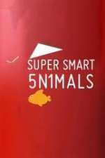 Watch Super Smart Animals Fmovies
