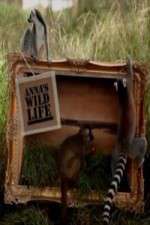 Watch Anna's Wild Life Fmovies