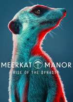 Watch Meerkat Manor: Rise of the Dynasty Fmovies