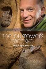 Watch The Burrowers Fmovies
