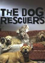 Watch The Dog Rescuers with Alan Davies Fmovies