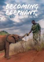 Watch Becoming Elephant: The Orphans Of Reteti Fmovies
