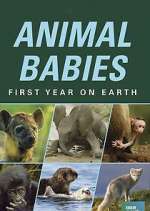 Watch Animal Babies: First Year on Earth Fmovies