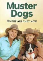 Watch Muster Dogs: Where Are They Now? Fmovies