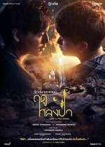 Watch Lost in the Woods Fmovies