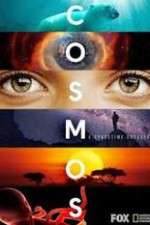 Watch Cosmos A SpaceTime Odyssey Fmovies