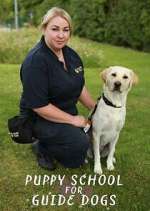 Watch Puppy School for Guide Dogs Fmovies