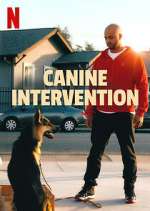 Watch Canine Intervention Fmovies