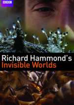 Watch Richard Hammond's Invisible Worlds Fmovies