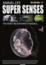 Watch Super Senses Fmovies