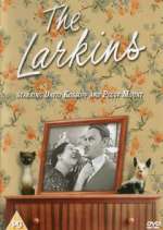 Watch The Larkins Fmovies