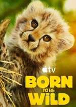 Watch Born to Be Wild Fmovies
