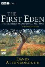 Watch The First Eden Fmovies