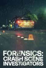 Watch Forensics: Crash Scene Investigators Fmovies