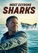 Watch Most Extreme Sharks Fmovies