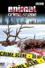 Watch Animal Crime Scene Fmovies