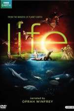 Watch Life Fmovies