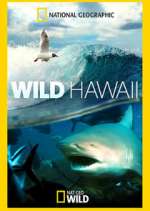 Watch Wild Hawaii Fmovies