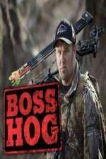 Watch Boss Hog Fmovies