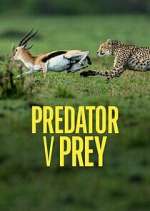 Watch Predator v Prey Fmovies