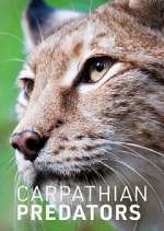 Watch Carpathian Predators Fmovies