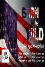 Watch Born to Be Wild: The Golden Age of American Rock Fmovies