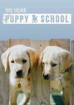 Watch Dog Squad: Puppy School Fmovies