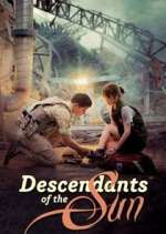 Watch Descendants of the Sun Fmovies