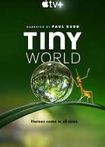 Watch Tiny World Fmovies