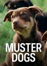 Watch Muster Dogs Fmovies
