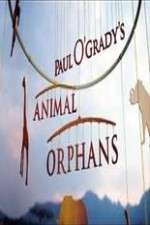 Watch Paul O'Grady's Animal Orphans Fmovies