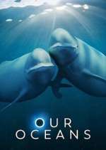 Watch Our Oceans Fmovies