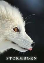 Watch Stormborn Fmovies