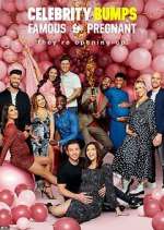 Watch Celebrity Bumps: Famous & Pregnant Fmovies