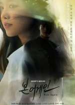 Watch Born Again Fmovies