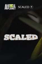 Watch Scaled Fmovies