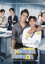 Watch My Stubborn Fmovies