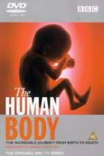 Watch The Human Body Fmovies