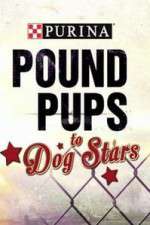 Watch Purina Pound Pups To Dog Stars Fmovies