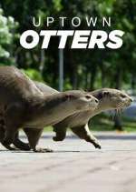 Watch Uptown Otters Fmovies