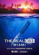 Watch The Real CSI: Miami Fmovies