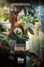 Watch Judi Dench\'s Wild Borneo Adventure Fmovies