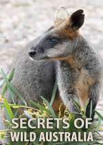 Watch Secrets of Wild Australia Fmovies