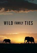 Watch Wild Family Ties Fmovies