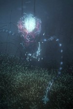 Watch Into the Universe with Stephen Hawking Fmovies