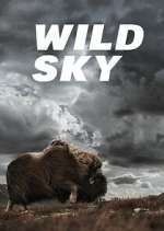 Watch Wild Sky Fmovies