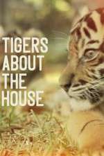 Watch Tigers About the House Fmovies