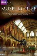 Watch BBC Museum of Life Fmovies