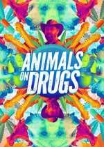 Watch Animals on Drugs Fmovies